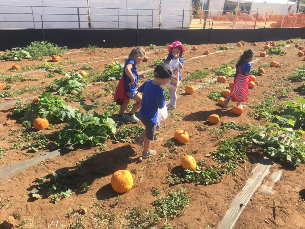 Kids at pumpkin patch in Rancho Bernardo, San Diego, CA